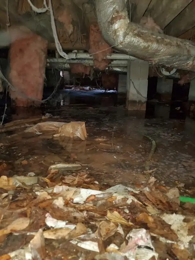 Crawl space flood assessment for Leak Detection & Repair in Sudley