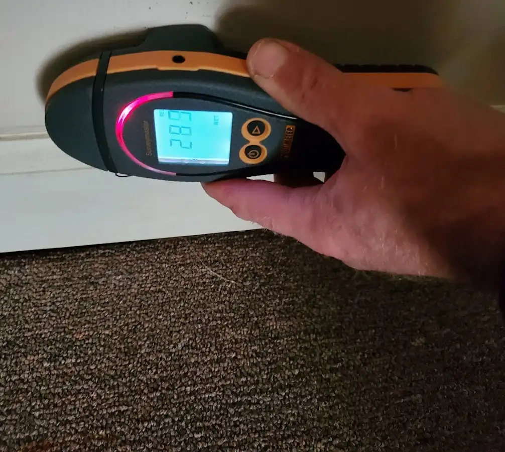 Moisture detection at baseboard during Mold Inspection & Testing in Sudley